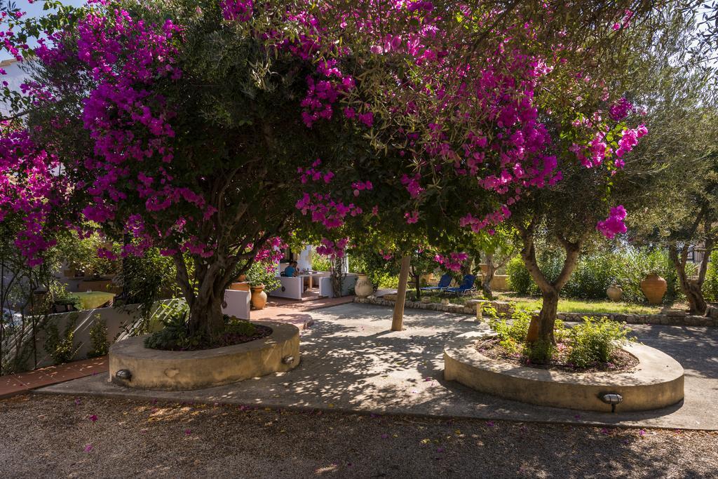 Orionas Village Kato Daratso Extérieur photo