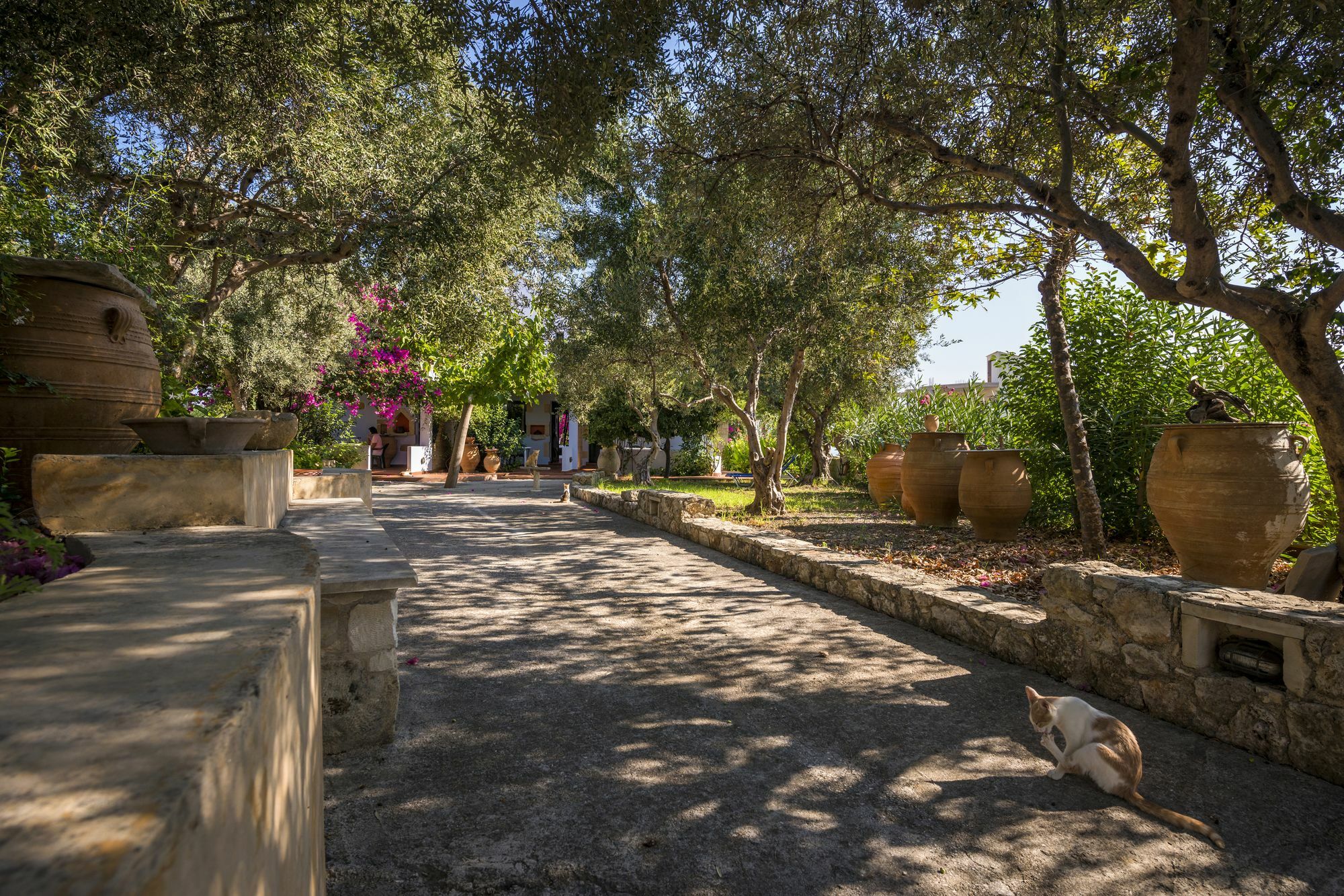 Orionas Village Kato Daratso Extérieur photo