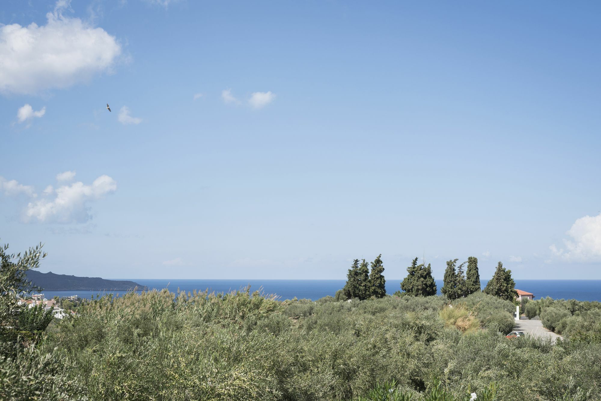 Orionas Village Kato Daratso Extérieur photo