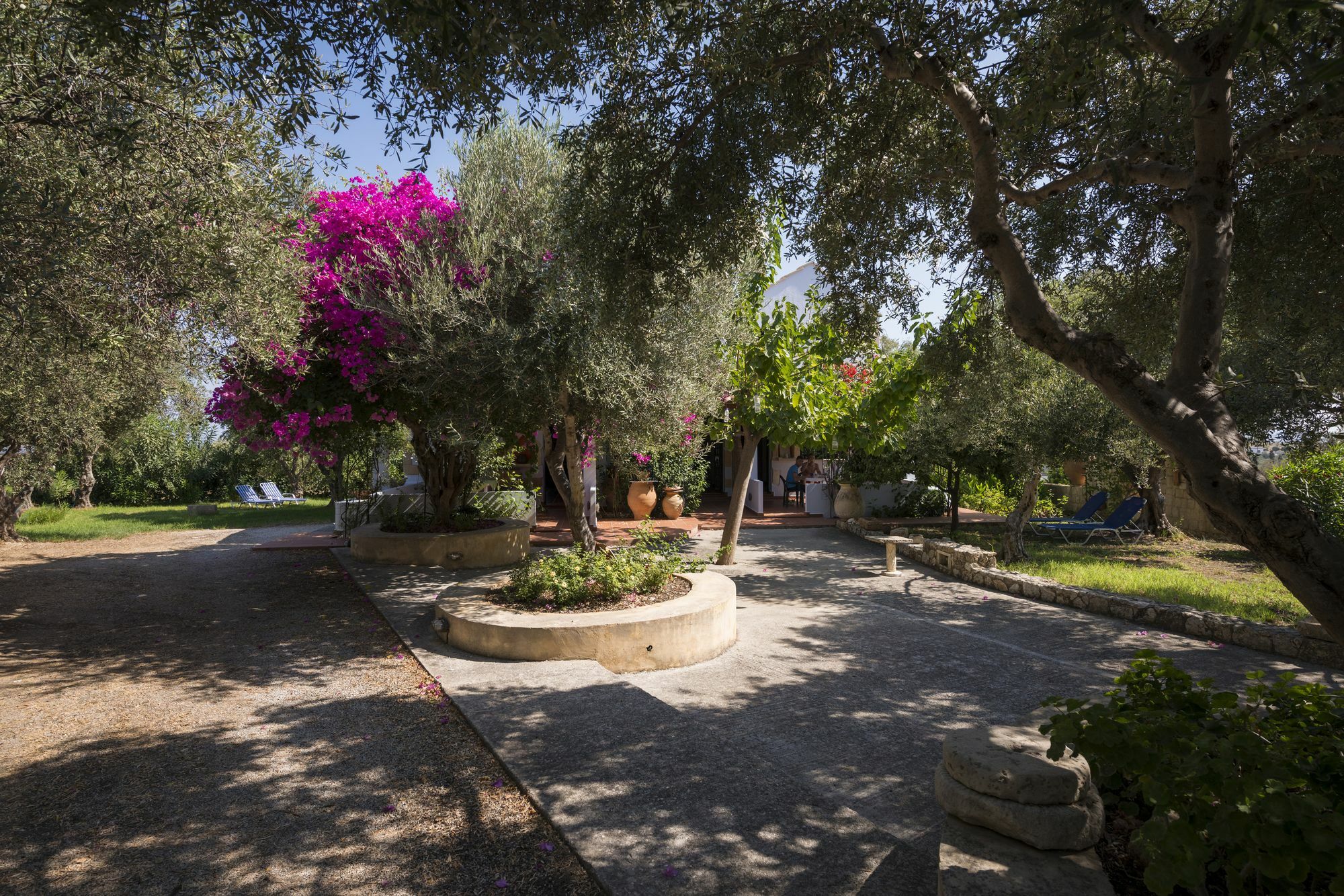 Orionas Village Kato Daratso Extérieur photo